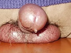 morena fodendo BBC antes do casting vídeo pornô grátis brasileiro anal