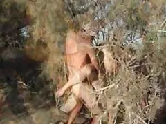 cara antes do trabalho fode sua garota favorita na Bunda videos de sexo gratuito brasileiro